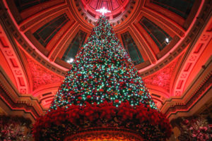 The Dome Christmas George Street_