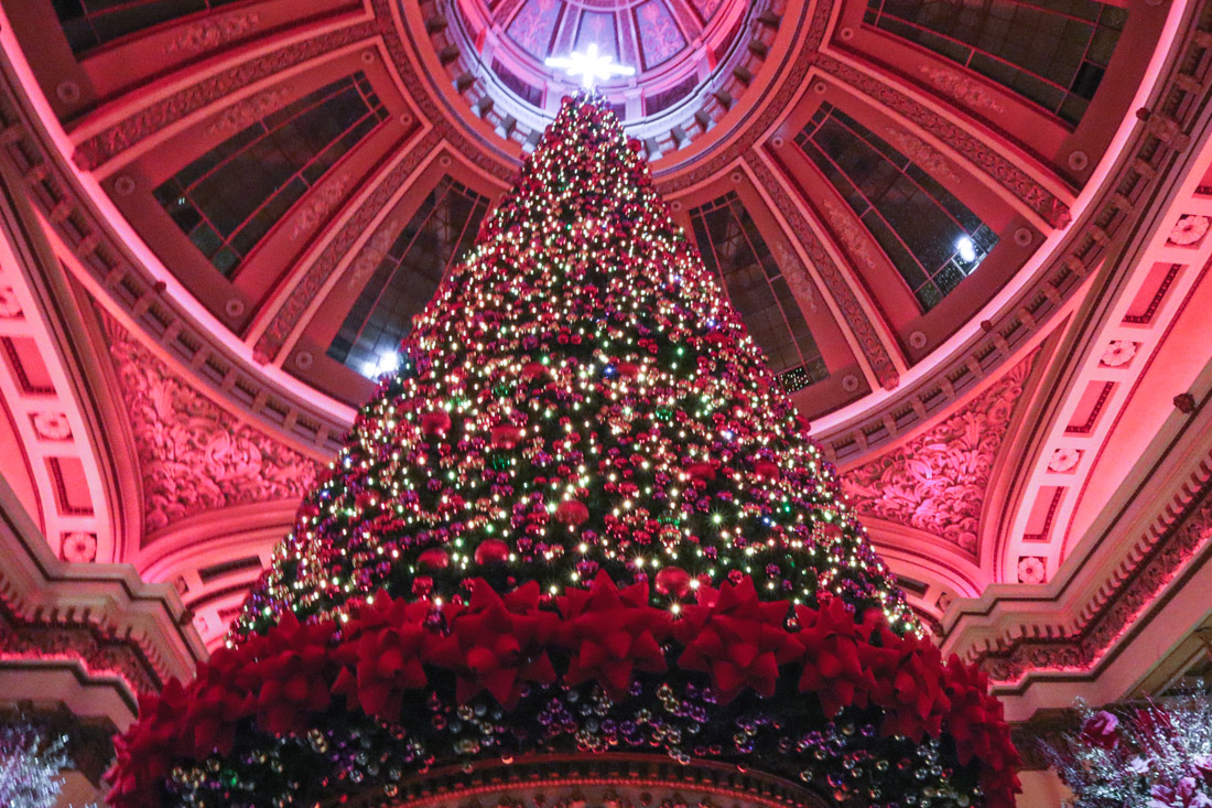 The Dome Christmas Tree George Street_