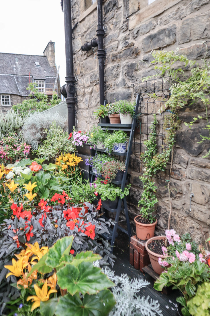 The Potted Garden Flowers Pots Stockbridge Edinburgh Scotland