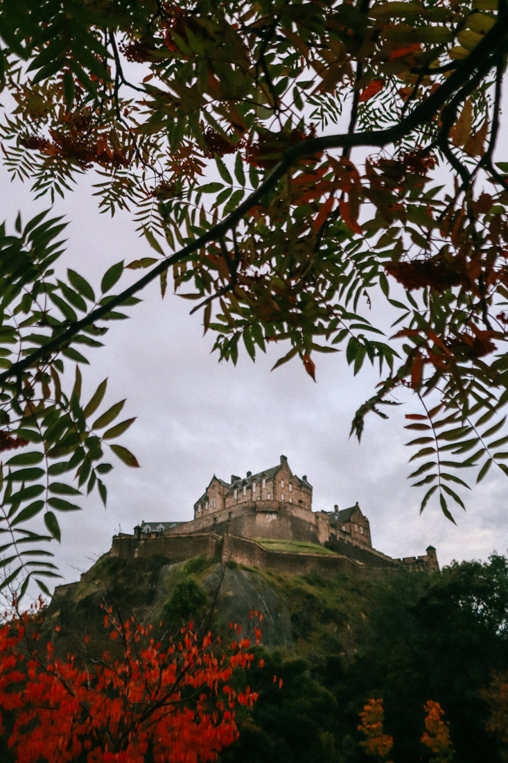 Edinburgh Castle Autumn Red Tree Framed