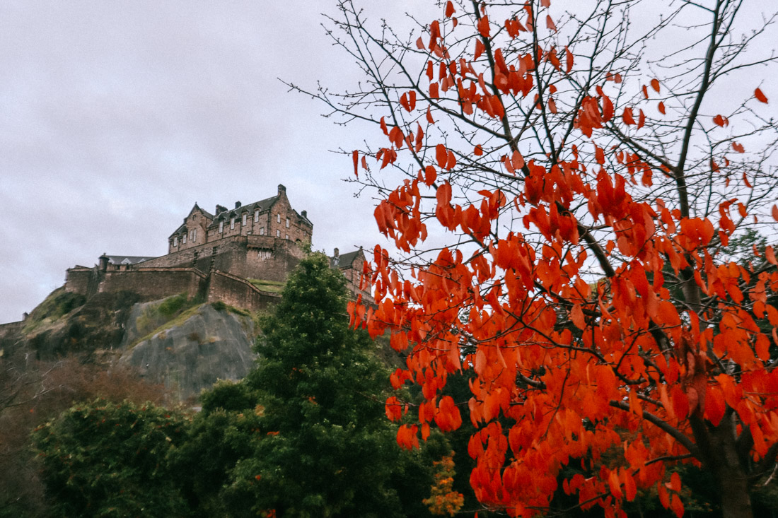 Edinburgh Castle Autumn with a Red Tree