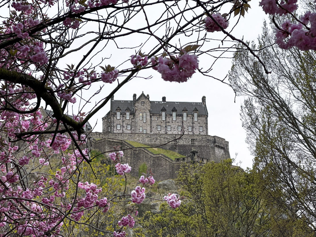 Edinburgh Castle Cherry Blossom Spring season_