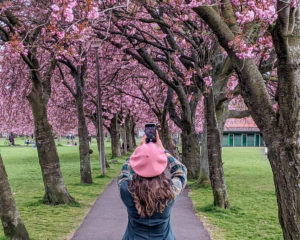 Gemma among the pink cherry blossom trees at the Meadows Park in Edinburgh