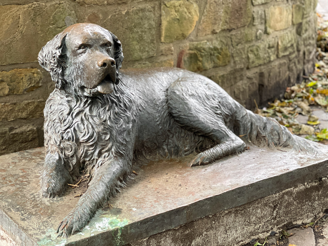 Bum dog statue