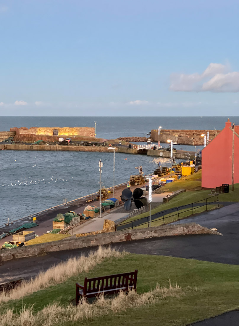 Dunbar Harbour from hill looking down to Battery ruins