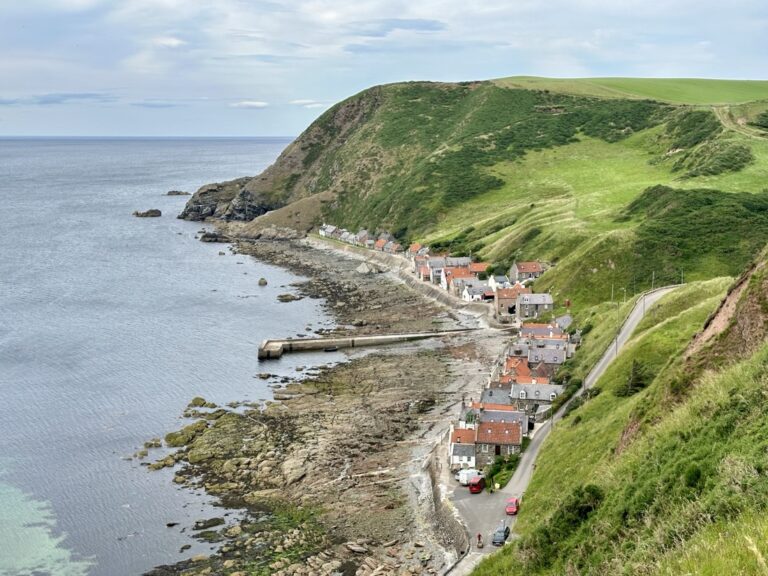 Crovie