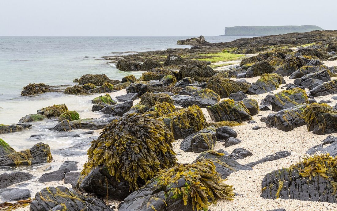 Coral Beach, Claigan