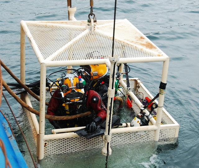 Diving in Orkney