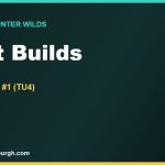 The Best Monster Hunter Wilds Builds
