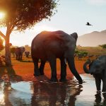 Planet Zoo 2 en avant-première : réserves naturelles, aquariums et une toute nouvelle perspective