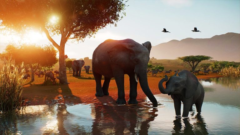 Planet Zoo 2 en avant-première : réserves naturelles, aquariums et une toute nouvelle perspective