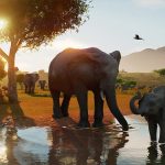 Planet Zoo 2 gooit alles anders: dieren vrijlaten wordt het echte doel
