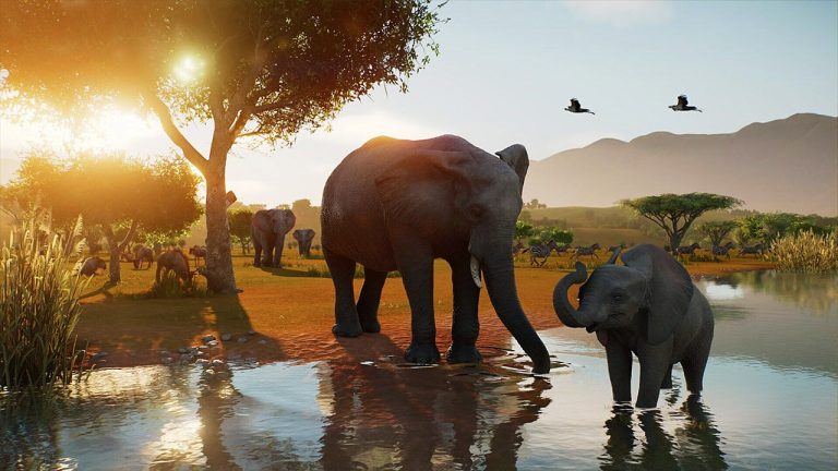 Planet Zoo 2 gooit alles anders: dieren vrijlaten wordt het echte doel