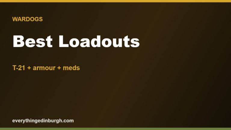 The Best Wardogs Loadouts & Weapons