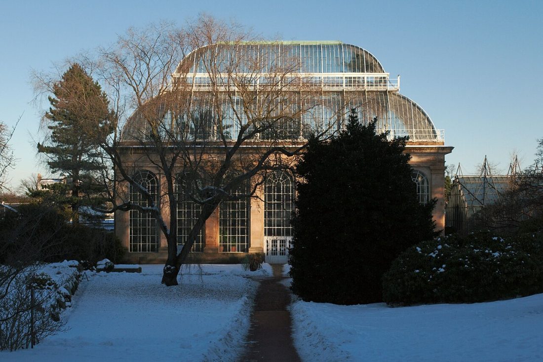 Royal Botanic Garden Edinburgh on a frosty December day
